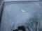 preview Audi S5 #5