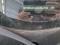 preview Ford Transit #5