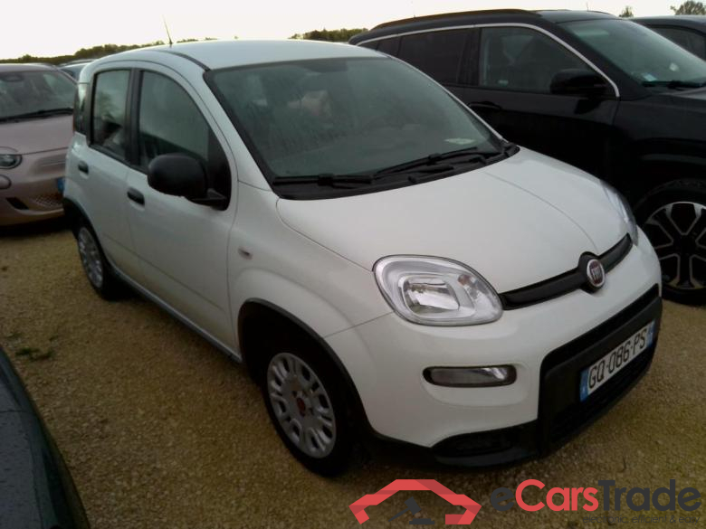 PANDA 1.0 70CV