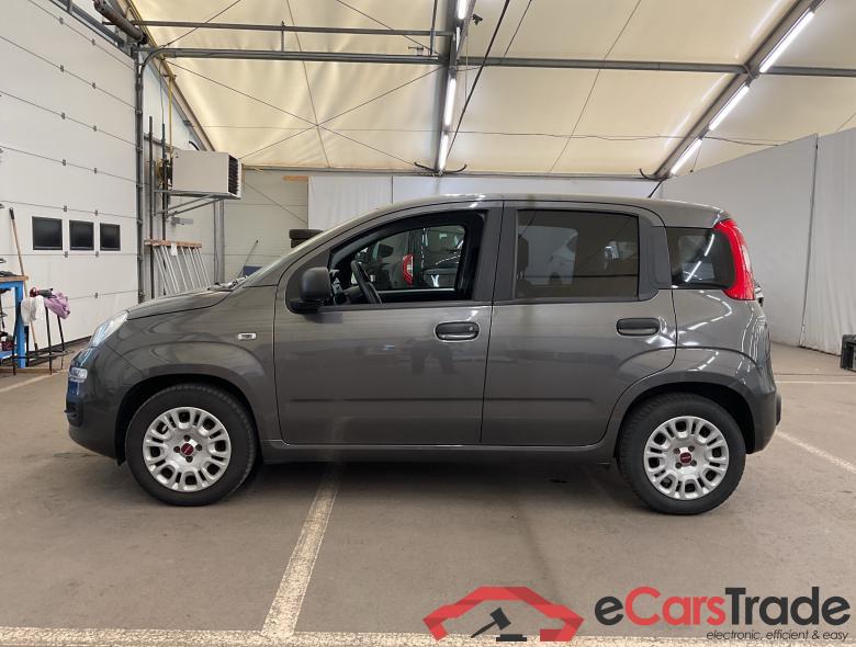 FIAT Panda Panda 1.2i Easy (EU6d-TEMP) #3