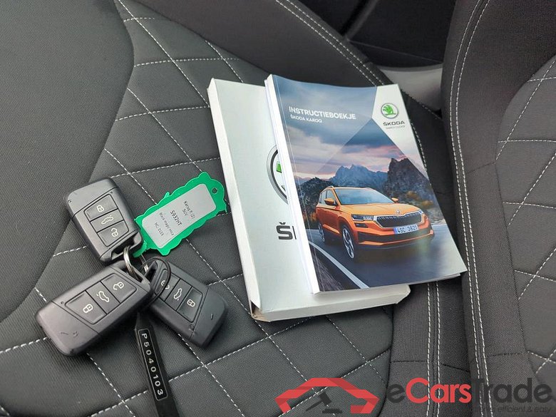 SKODA Karoq 110 kW #6