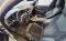 preview BMW 330 #2
