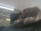 preview Volkswagen Caddy Maxi #1