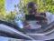 preview Renault Megane #2