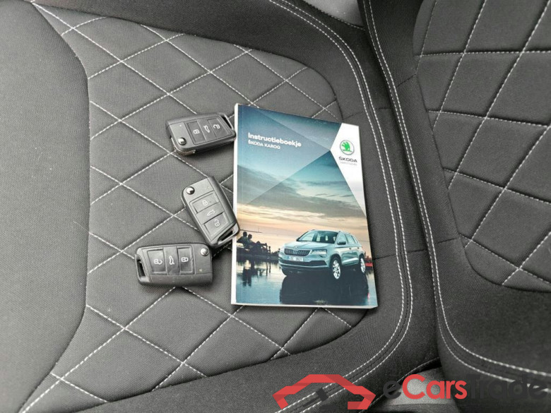 SKODA Karoq 110 kW #6
