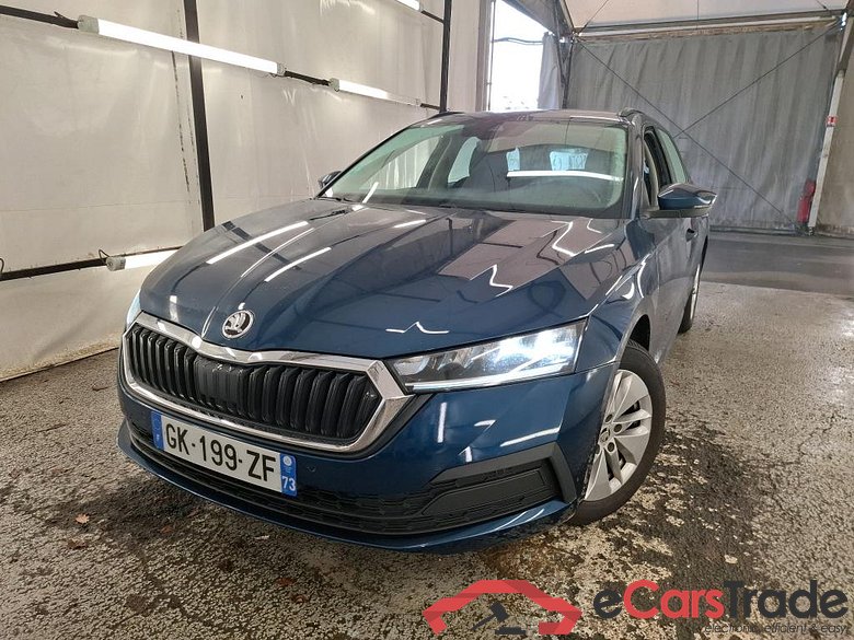 Octavia Break Business 2.0 TDI 115CV BVA7 E6d