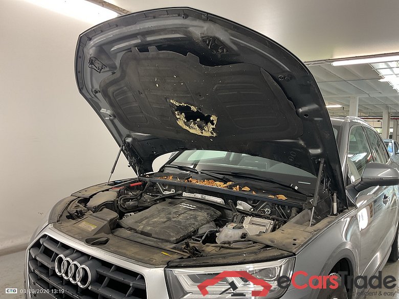 AUDI Q5 2.0 TDI 30 100KW S TRONIC BUS. ED. #6