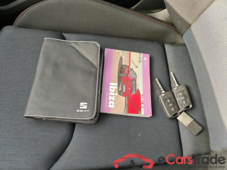 SEAT Ibiza 110 kW #6