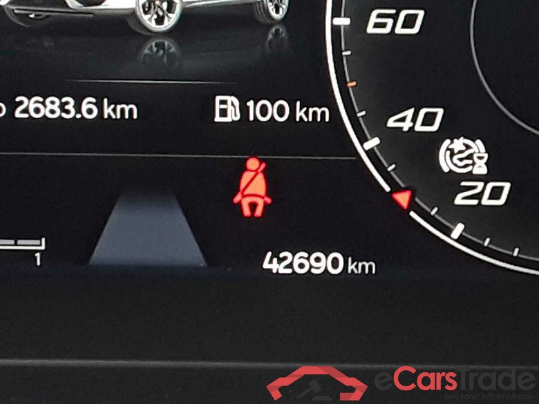 Cupra Formentor (KM7)(08.2020->) DE - SUV5 2.0 TSI EU6d, VZ 4 Drive, 2020 - 2024 #3