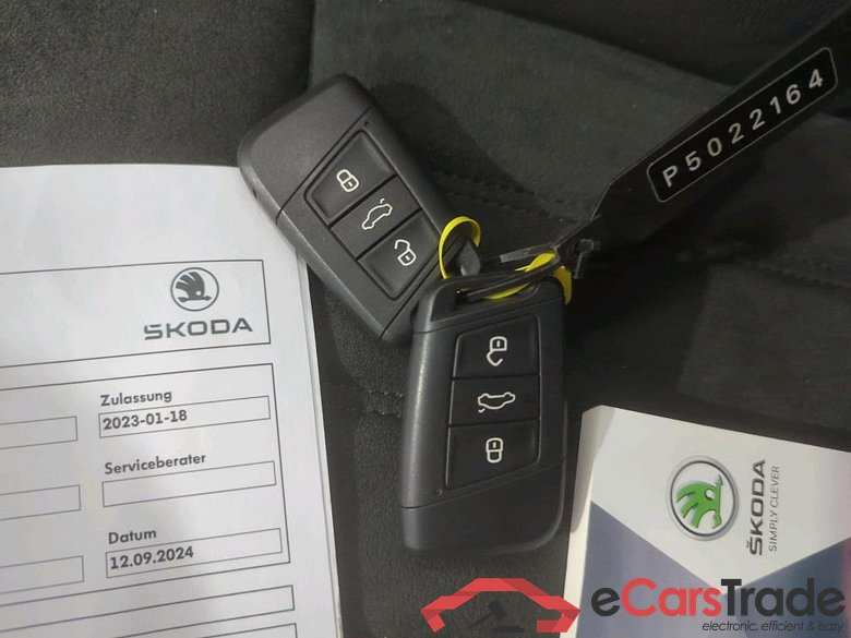 Karoq Ambition 4x4 2.0 TDI 110KW AT7 E6d #6