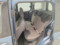 preview Ford Tourneo Courier #3