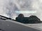 preview Volkswagen Polo #1