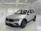 preview Volkswagen Tiguan #0