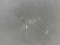 preview Ford Transit #2