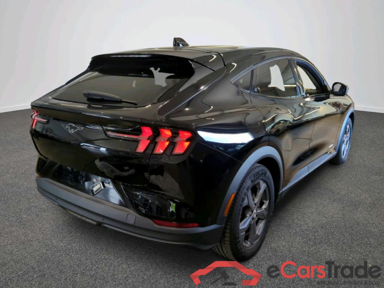 Mustang Mach-E #3
