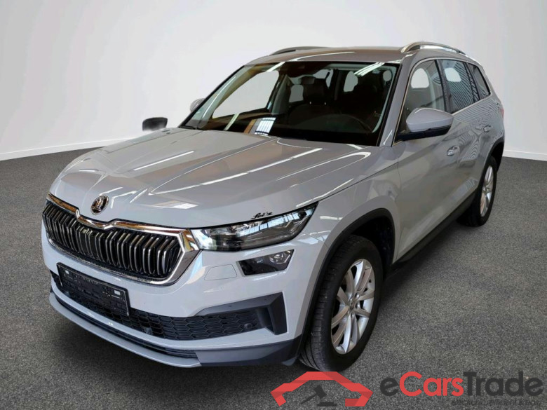 Kodiaq Style 4x4 2.0 TDI 110KW AT7 E6d #1