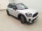 preview Mini Countryman Series #4
