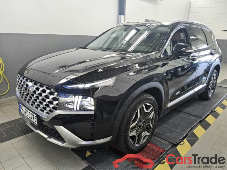 Hyundai Santa Fe  #1