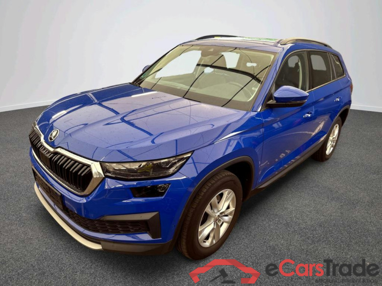 Kodiaq Ambition 2.0 TDI 110KW AT7 E6d