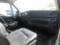 preview Iveco Daily #2