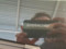 preview Kia cee'd #5