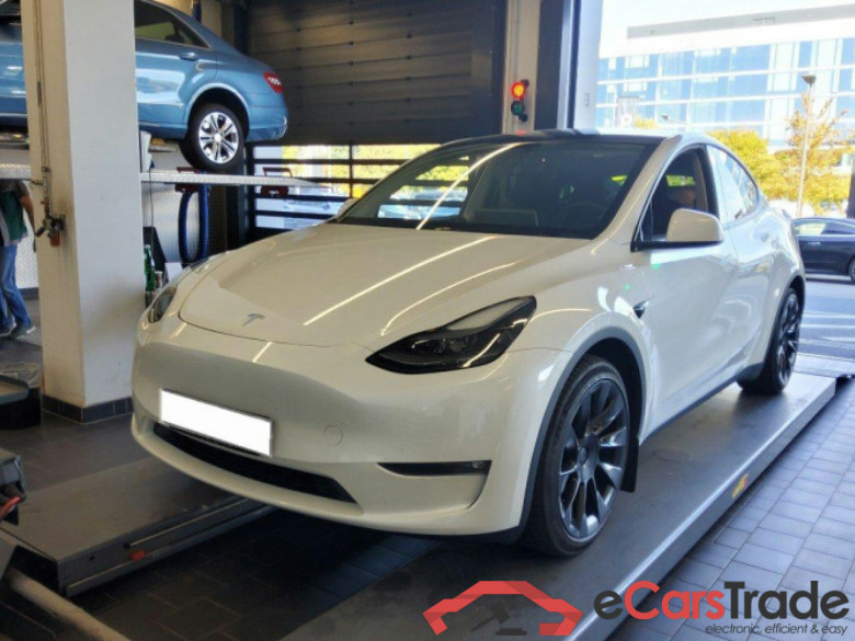 TESLA Model Y  #1